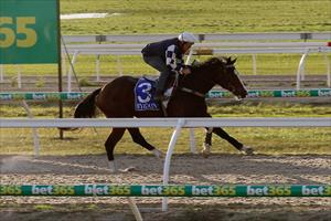 Miss Rose de Lago on track for Lawrence